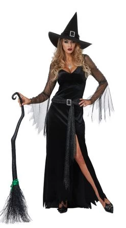 Rich Witch Costume