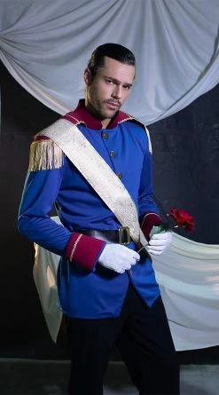 Storybook Prince Costume