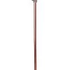 Steampunk Cane