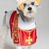 Holy Hound Dog Costume