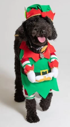 Jingle Elf Dog Costume