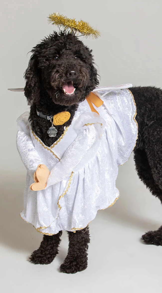 Heavenly Hound Dog Costume - Image 2
