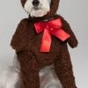 Teddy Bear Dog Costume