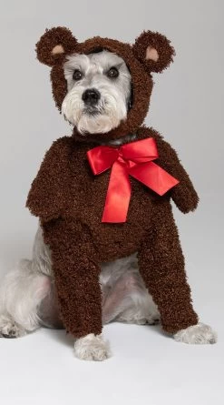 Teddy Bear Dog Costume