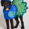 Pretty As A Peacock Dog Costume