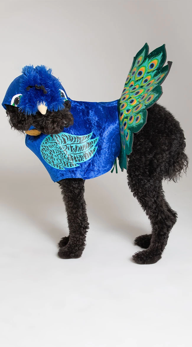 Pretty As A Peacock Dog Costume - Image 2