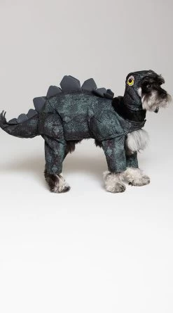 Stegosaurus Dog Costume