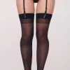 Dreamgirl Sheer Thigh High With Back Seam