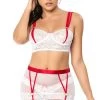 Naughty Nurse Lingerie Costume