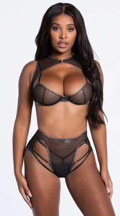 Forplay Sheer Your Love Bra Set