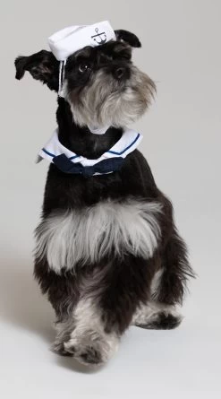 Small Pet Sailor Costume