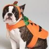 Pumpkin Pet Harness Costume