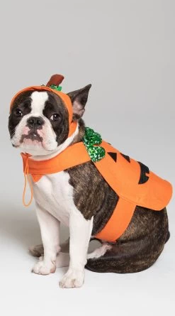 Pumpkin Pet Harness Costume