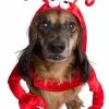 Lazy Lobster Pet Costume