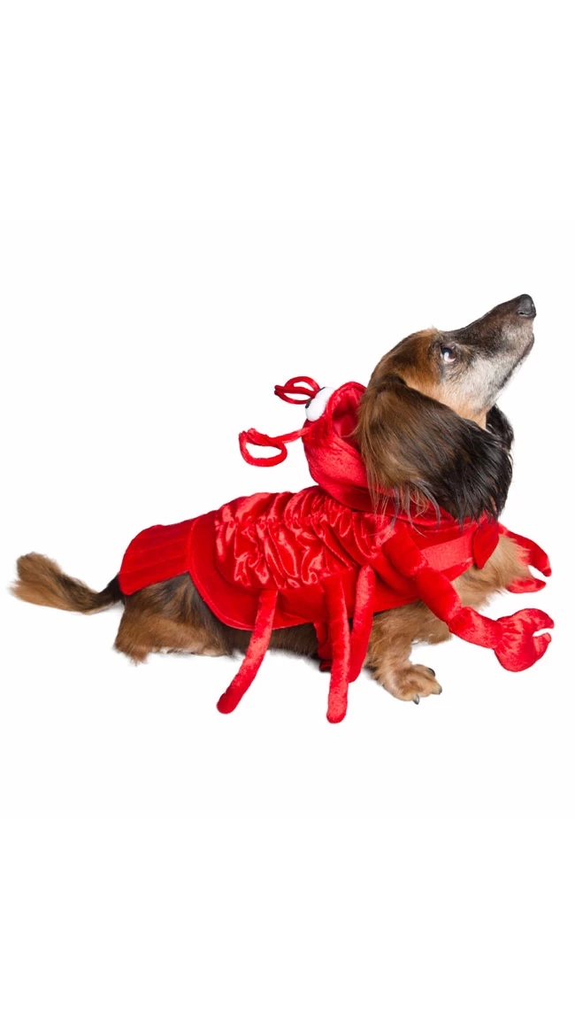 Lazy Lobster Pet Costume - Image 2