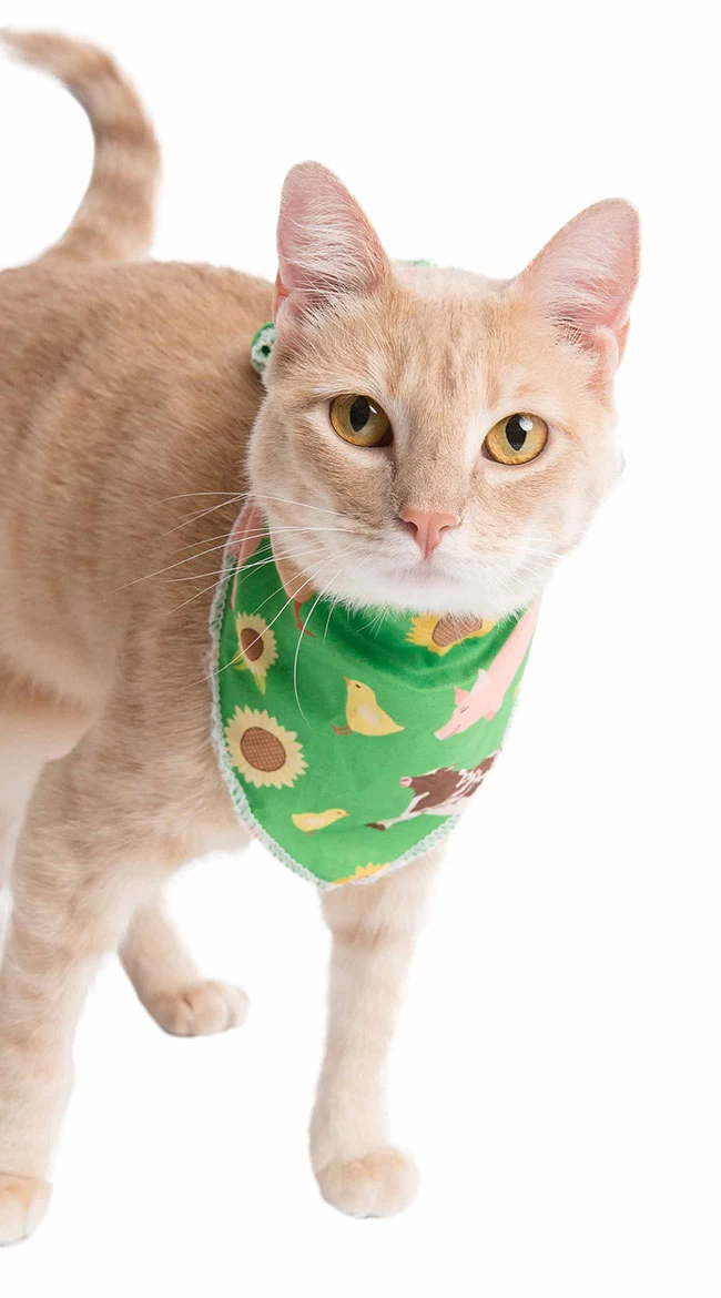 Farm Friend Pet Costume - Image 6