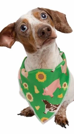 Farm Friend Pet Costume