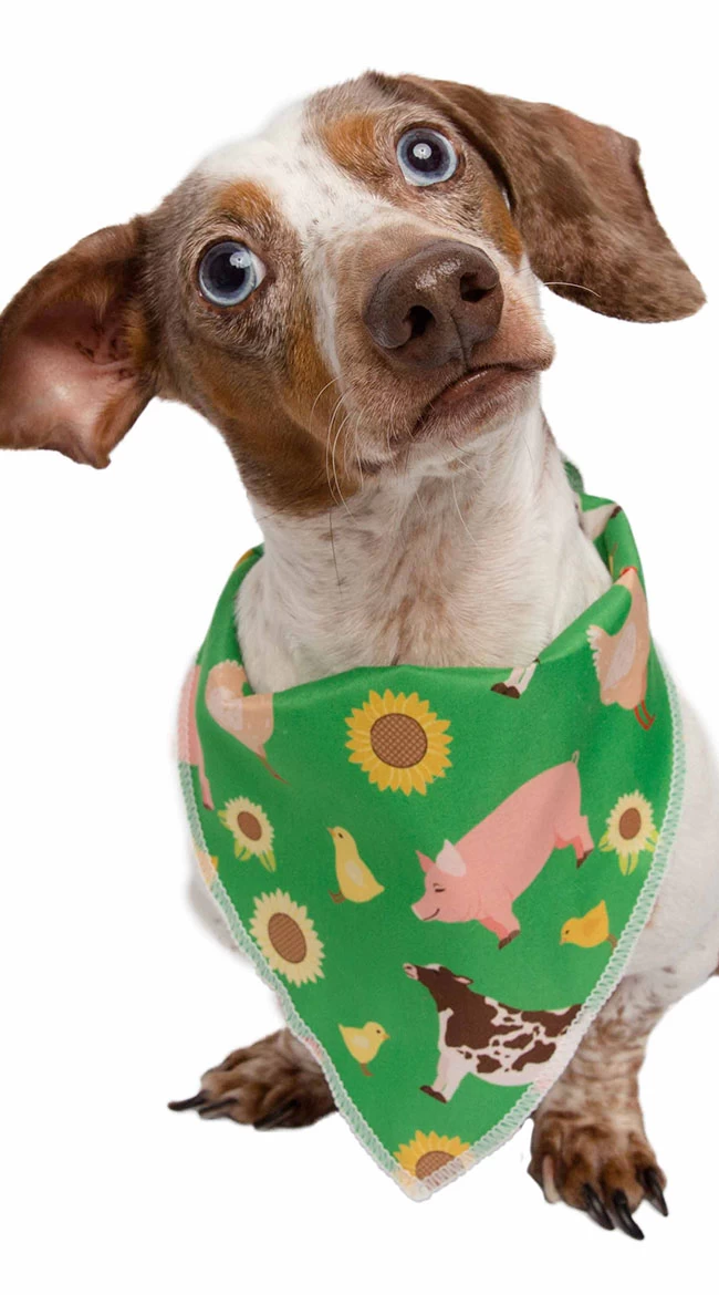 Farm Friend Pet Costume