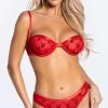 Playboy Some Bunny Special Bra Set