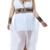 Plus Size Grecian Goddess Costume